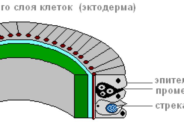 Ссылка на кракен tor