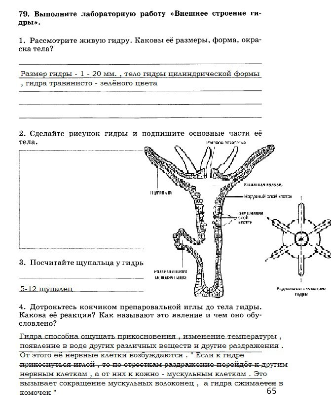 Кракен ворует аккаунты